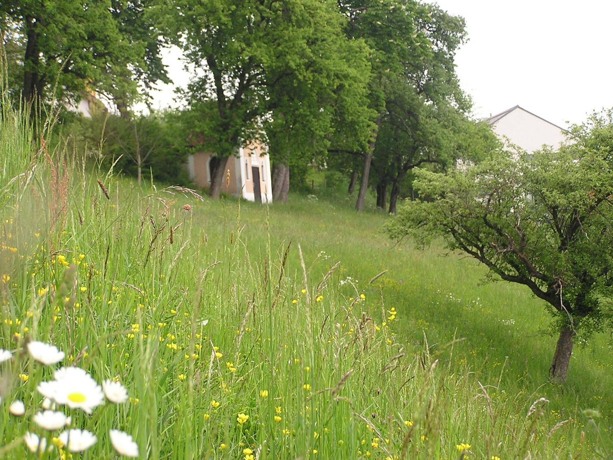 Gasthof Hotel Zweimueller Grieskirchen Dış mekan fotoğraf